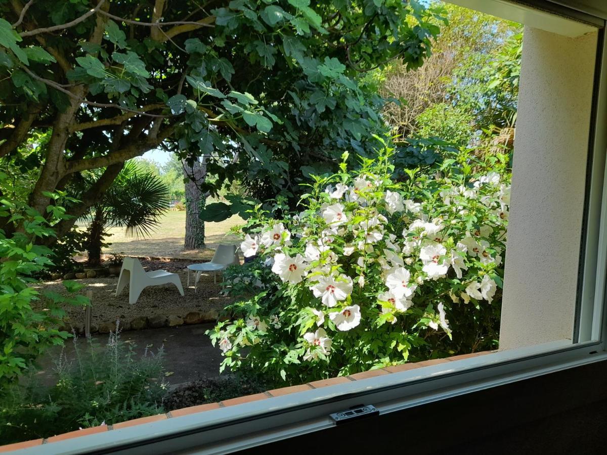 Villa Aigues Vives Boutenac Esterno foto