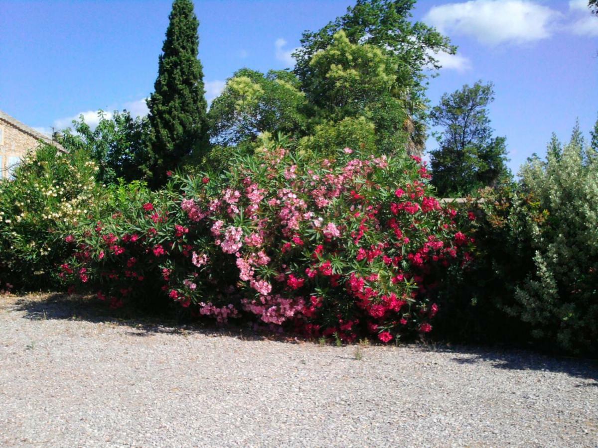 Villa Aigues Vives Boutenac Esterno foto